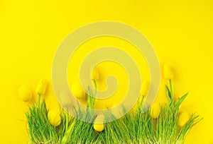 Easter background. Bright yellow eggs and vivid spring blooming tulips and fresh grass over yellow background