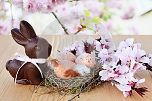 Easter background, card with easter eggs, chocolate bunny and pink spring blossoms