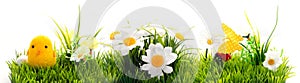 Easter background, cheerful flowers, Easter green and blue with yellow, Concept, screen, postcard, wallpaper, fresh and cheerful,