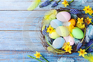 Easter background with colorful eggs in nest, feather and spring flowers top view. Holiday card or banner