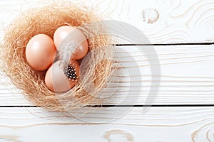 Easter background. Easter beige eggs and feather in nest on rustic white wooden background. Close-up, copy space