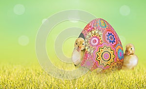 Easter background with Easter egg and baby ducks