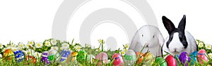 Easter background with Easter eggs and Easter bunnies photo