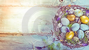 Easter background with Easter eggs and spring flowers. Top view with copy space