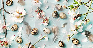 Easter background with eggs and almond blossom flowers