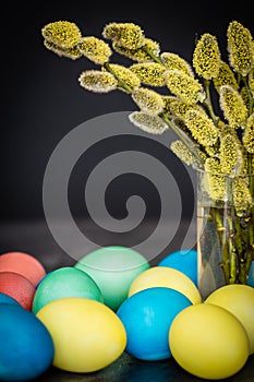 Easter background with eggs and Catkin