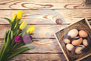 Easter background with eggs in nest and purple and yellow tulips