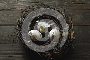 easter background with golden eggs in a nest and feathers on wood background