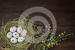 Easter background.Happy easter eggs pained on nest also photo