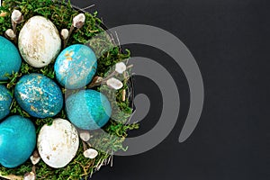 Easter background with a nest with colored eggs close-up on a black background with copy space. Turquoise and gold eggs lie in a