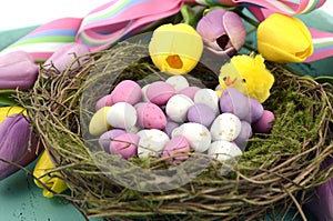 Easter background with painted Easter eggs in birds nest