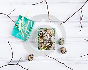 Easter background, quail eggs in a bright box decorated with tree branches. Flat lay, top view, view from above