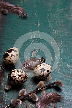 Easter background with quail eggs, feathers and catkins on green rustic wooden background