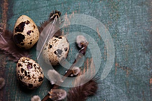 Easter background with quail eggs, feathers and catkins on green rustic wooden background