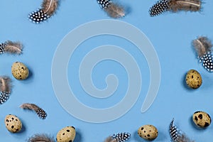 Easter background with quail eggs and guinea fowl feathers on a blue background.