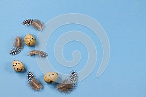 Easter background with quail eggs and guinea fowl feathers on a blue background.