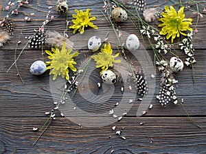Easter background, quail eggs and yellow chrysanthemum over wooden background
