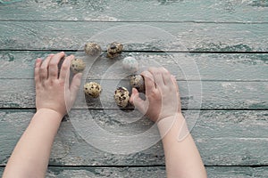 Easter background, small children hands hold quail eggs