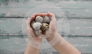 Easter background, small children hands hold quail eggs