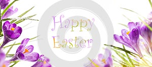 easter background with spring flowers