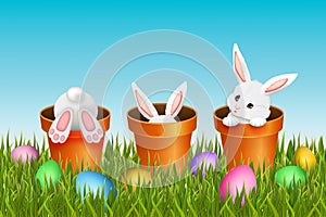 Easter background with three adorable white rabbits photo