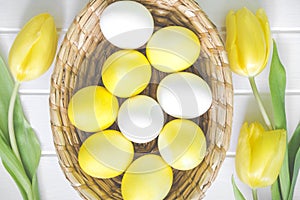 Easter background with tulips and eggs