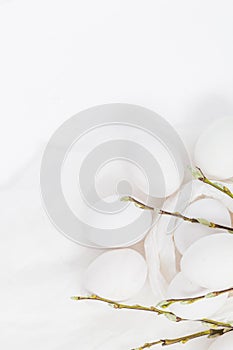 Easter background white eggs basil twigs