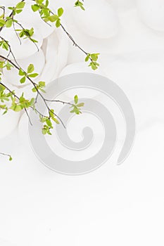 Easter background white eggs green twigs