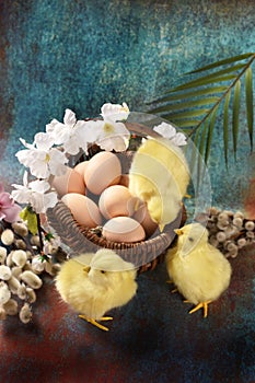 Easter background with a wicker basket full of eggs and yellow chickens