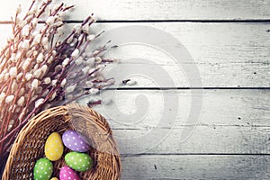 easter background - willows with colorful eggs in basket