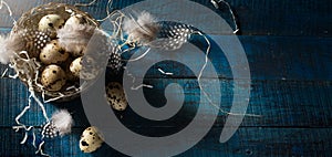 Easter banner background; Retro style picture with Easter eggs and feathers in silver basket  on dark blue background. Top view,