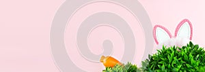 Easter banner with carrot, green grass and cute rabbit ears. Pink background with copy space