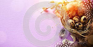 Easter banner with eggs, bird feather and spring flowers on pink background. Top view, flat lay with copy space