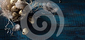 Easter banner with eggs and feathers in silver basket  on dark blue background. Top view, flat lay with copy space