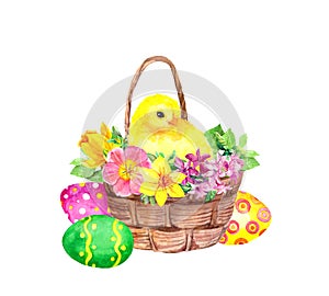 Easter basket with colored eggs flowers, cute little chick. Watercolor