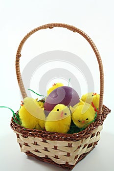 Easter basket with Easter egg and chicks