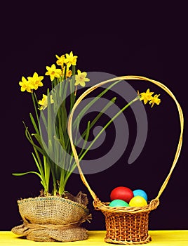 Easter basket full of colourful painted eggs next to daffodils