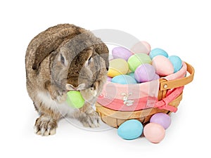 Easter basket with pastel colored plastic eggs