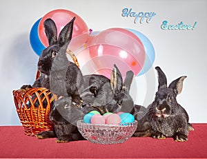 Easter basket and a vase with eggs near the four rabbits