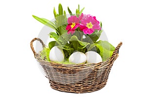 Easter basket on white background