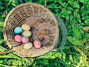 Easter being represented by harvesting colored eggs over the basket and in the garden