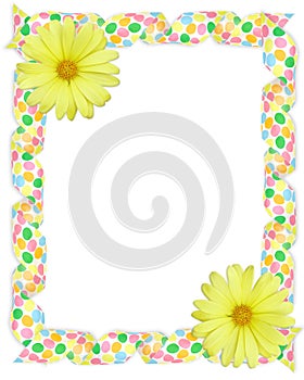 Yellow daisy border Easter