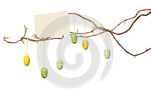 Easter Branches - with Easter Eggs, Blank Sign / Card