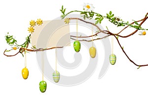 Easter Branches - with Easter Eggs, Blank Sign / Card, Isolated