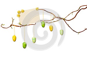 Easter Branches - with Easter Eggs, Blank Sign / Card, Isolated