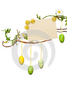 Easter Branches - with Easter Eggs, Blank Sign / Card, Isolated