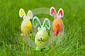 Easter bunnies photo