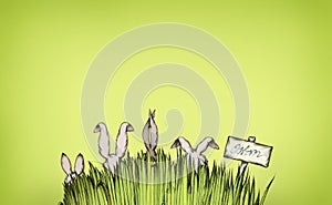 Easter bunnies in the tall grass