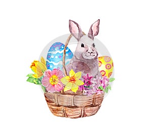 Easter bunny in basket with decorated eggs, flowers. Hand painted watercolor with floral design isolated on white