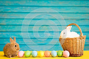 Easter bunny and basket of eggs